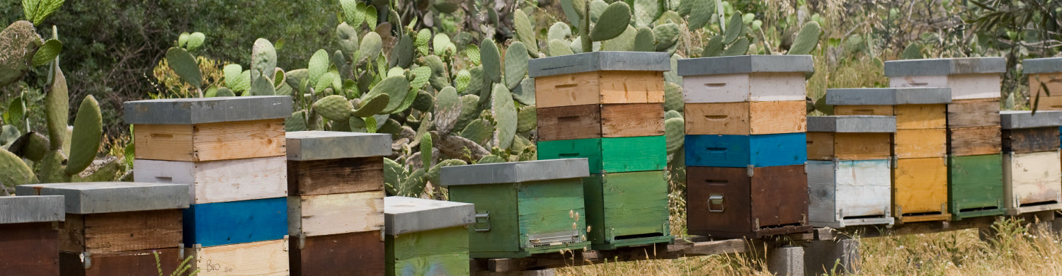 シチリア島(イタリア)