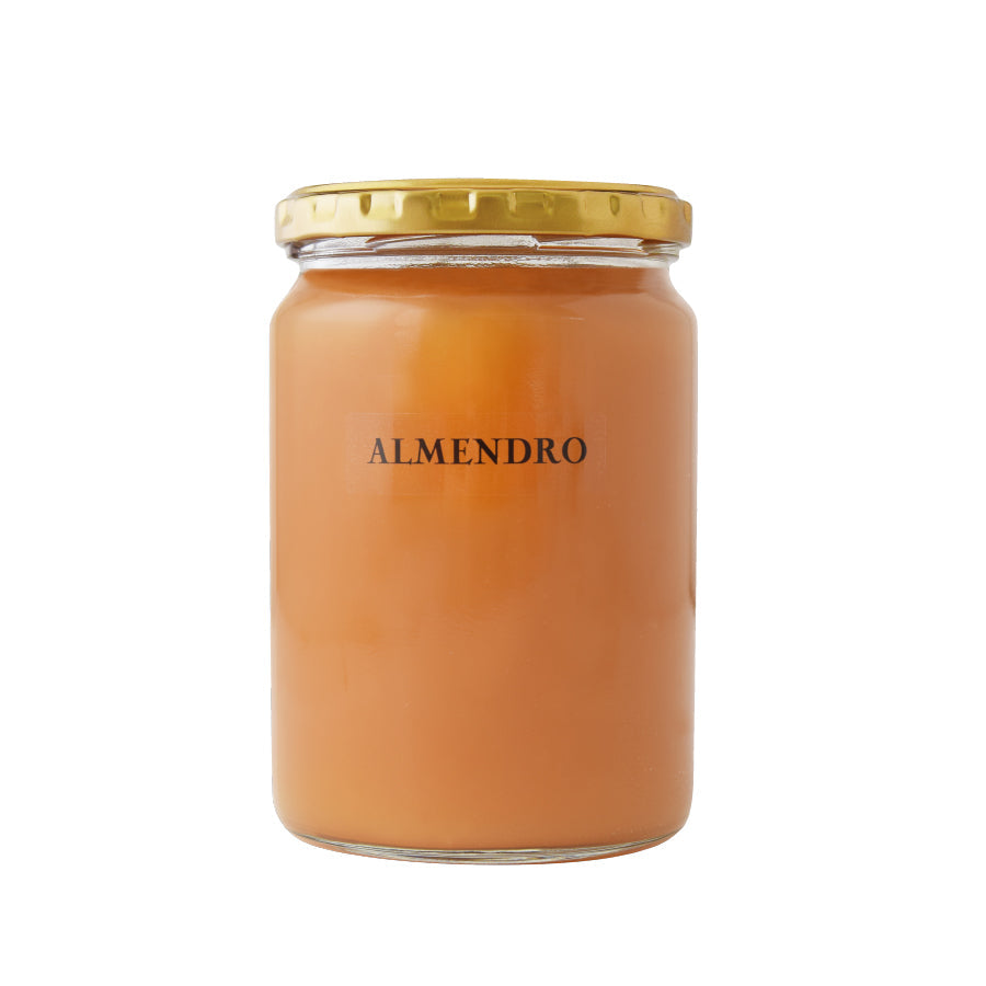 Spanish Almond Honey ALMENDRO 500g