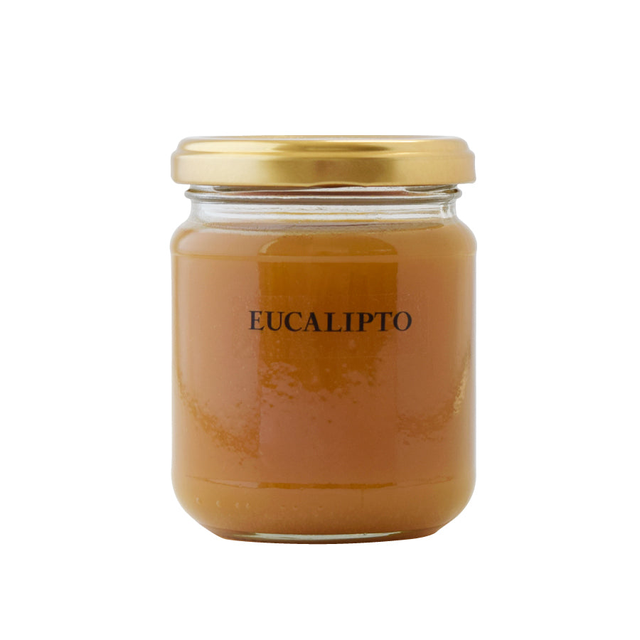 はちみつ スペイン ユーカリ EUCALIPTO 250g