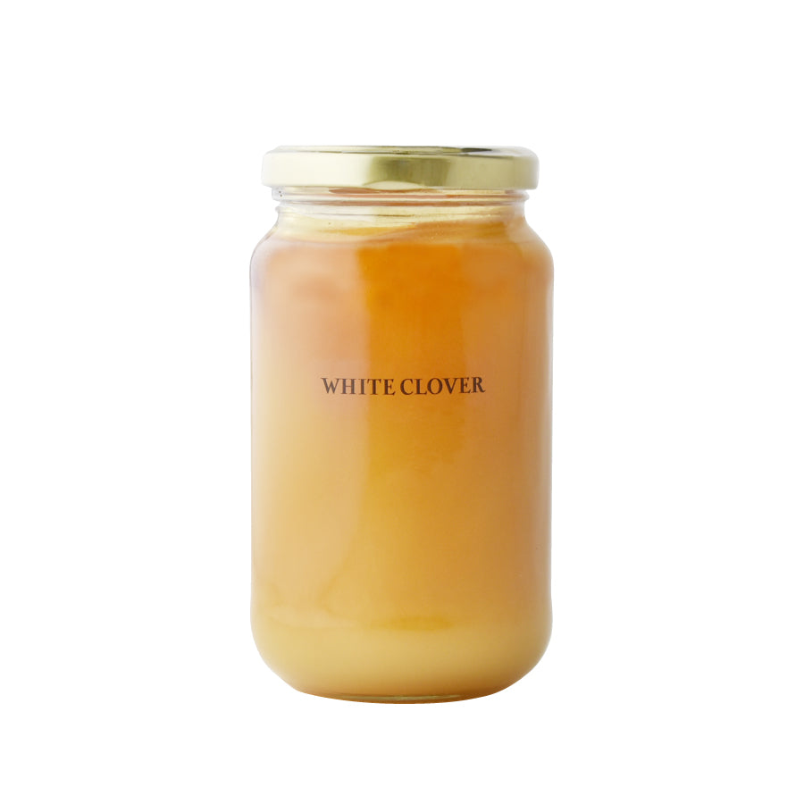 はちみつ ニュージーランド ホワイトクローバー WHITE CLOVER 500g