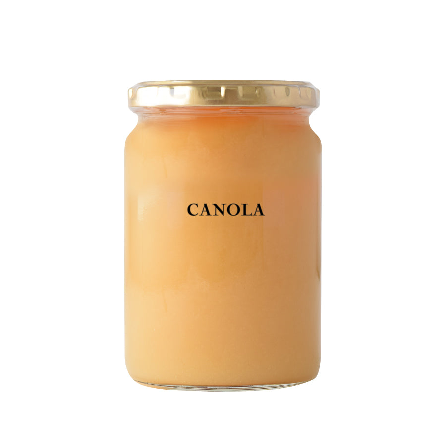 Hungarian Canola Honey 500g