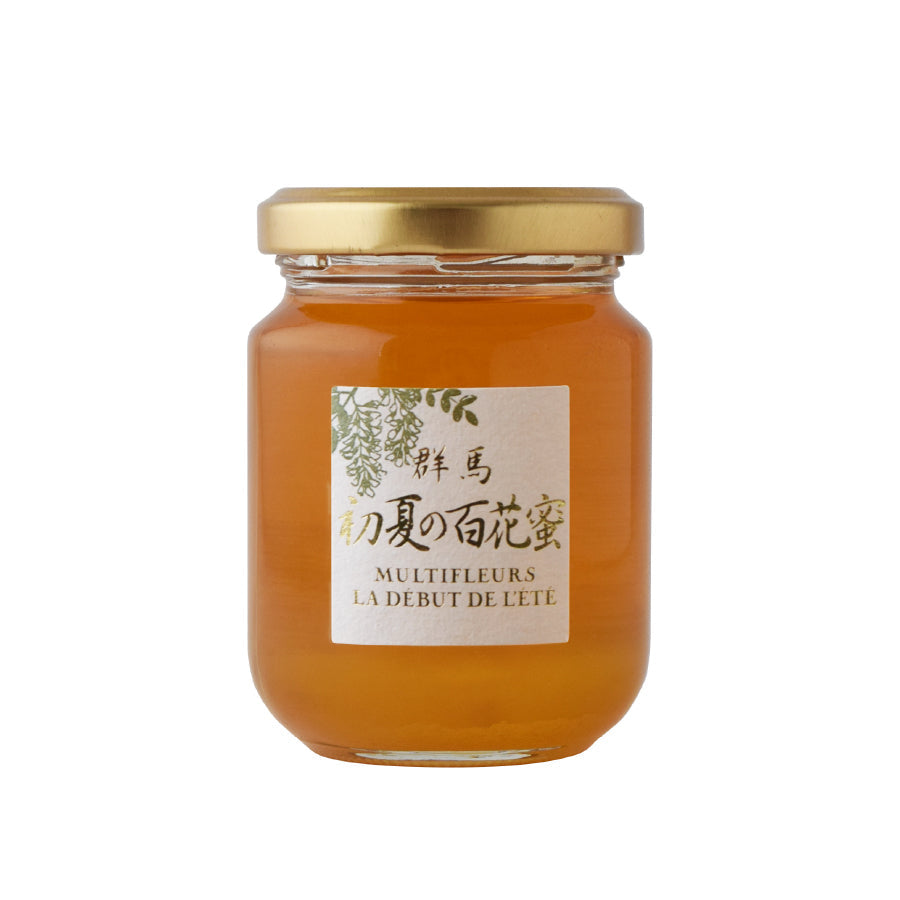 Honey Gunma Early Summer Flower Honey 125g