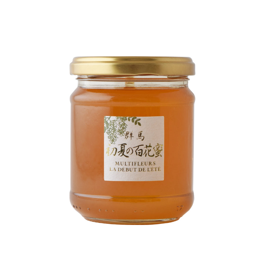 Honey Gunma Early Summer Flower Honey 250g