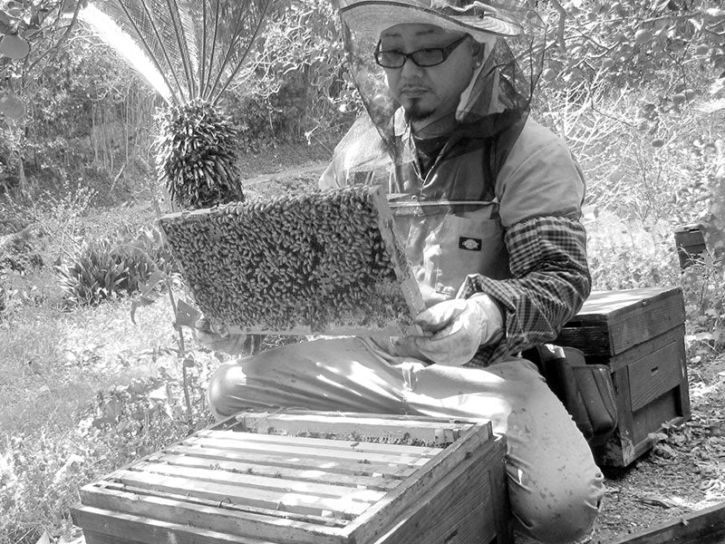 はちみつ 秋田 アカシア(藤村氏) 125g – L'ABEILLE ONLINE SHOP