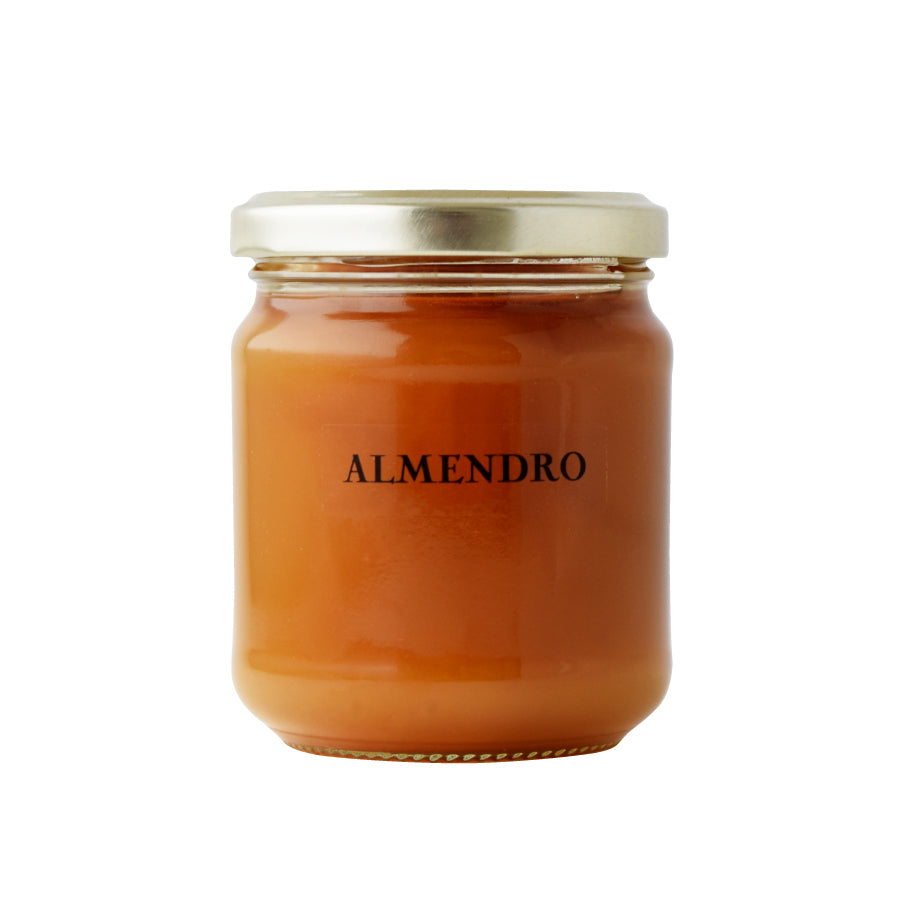 はちみつ スペイン アーモンド ALMENDRO 250g