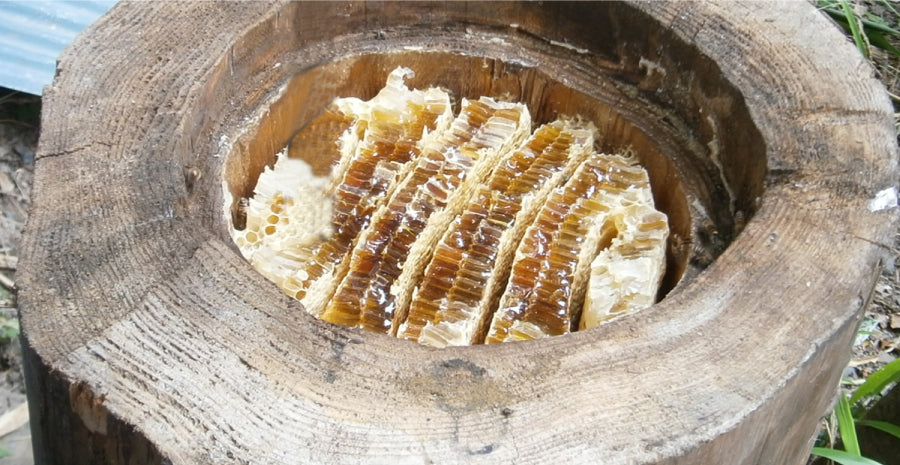 日本蜜蜂　蜂蜜　びわこ比良山麓　１２００ｇ 日本蜜蜂 蜂蜜 びわこ比良山麓 1200g