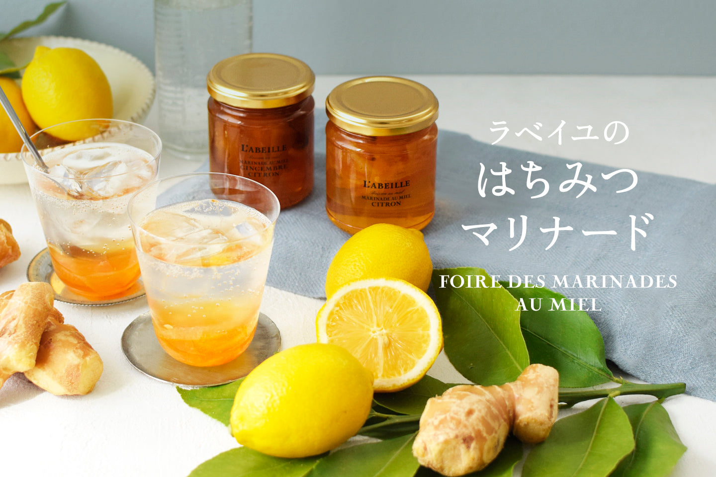 はちみつ 秋田 アカシア(藤村氏)(チューブ) 600g – L'ABEILLE ONLINE SHOP