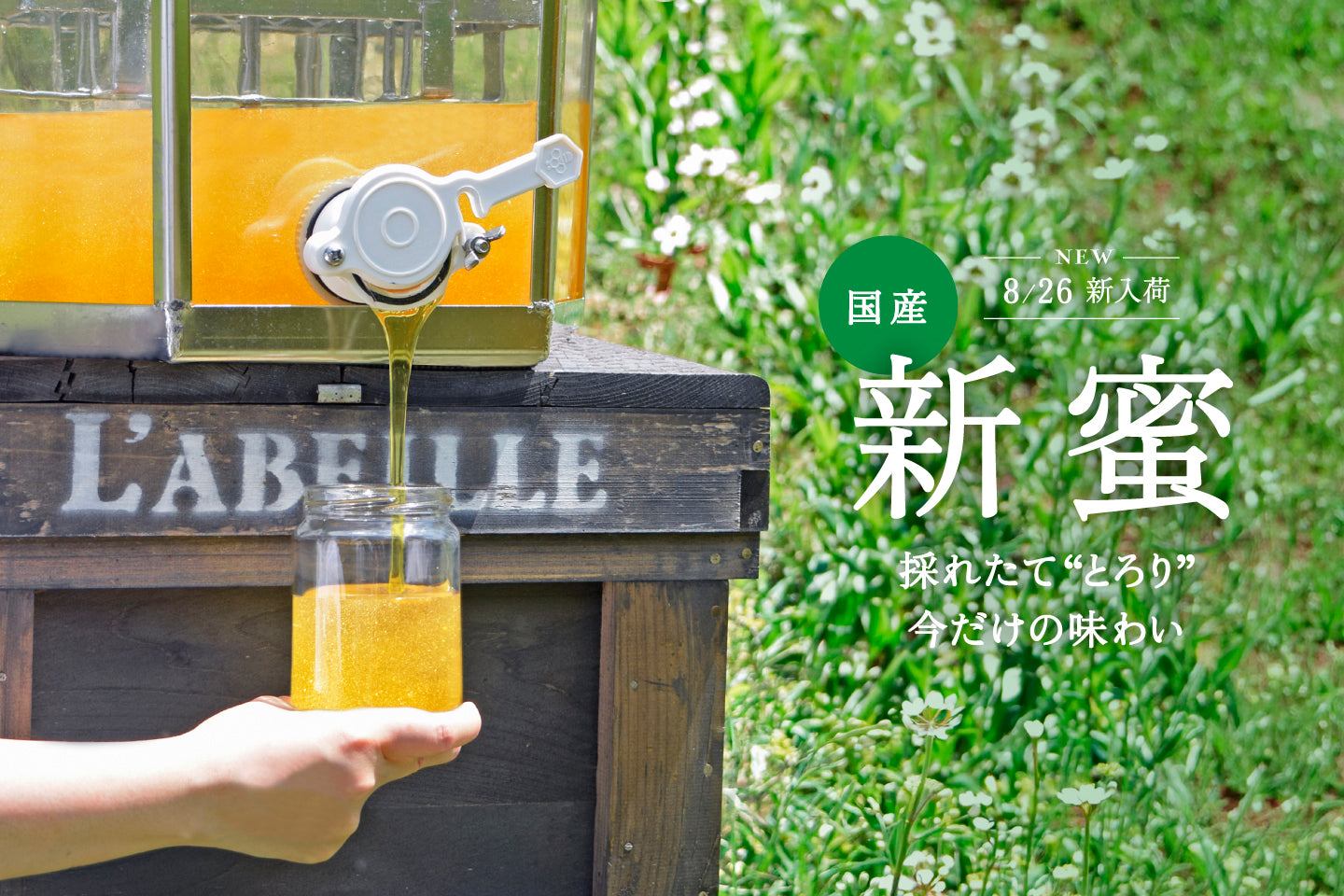 ニュージーランド マヌカハニー UMF15＋ 125g – L'ABEILLE ONLINE SHOP