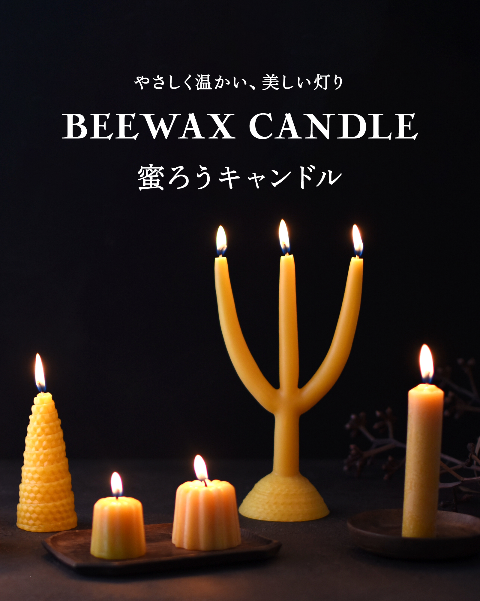 ₳A@BEEWAX CANDLE@XLh